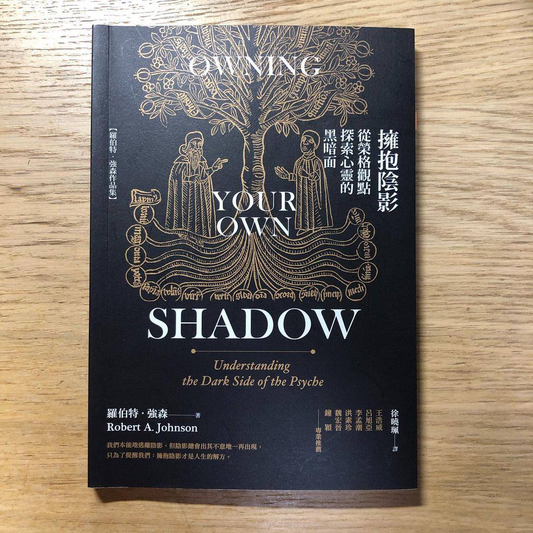 書摘|《擁抱陰影》