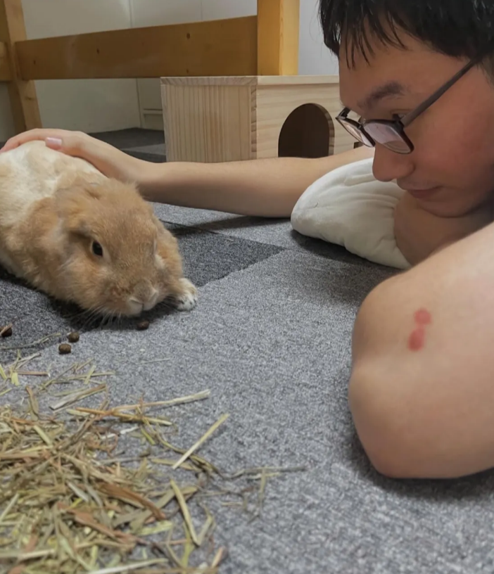 情緒、鏡子視角、觀自在