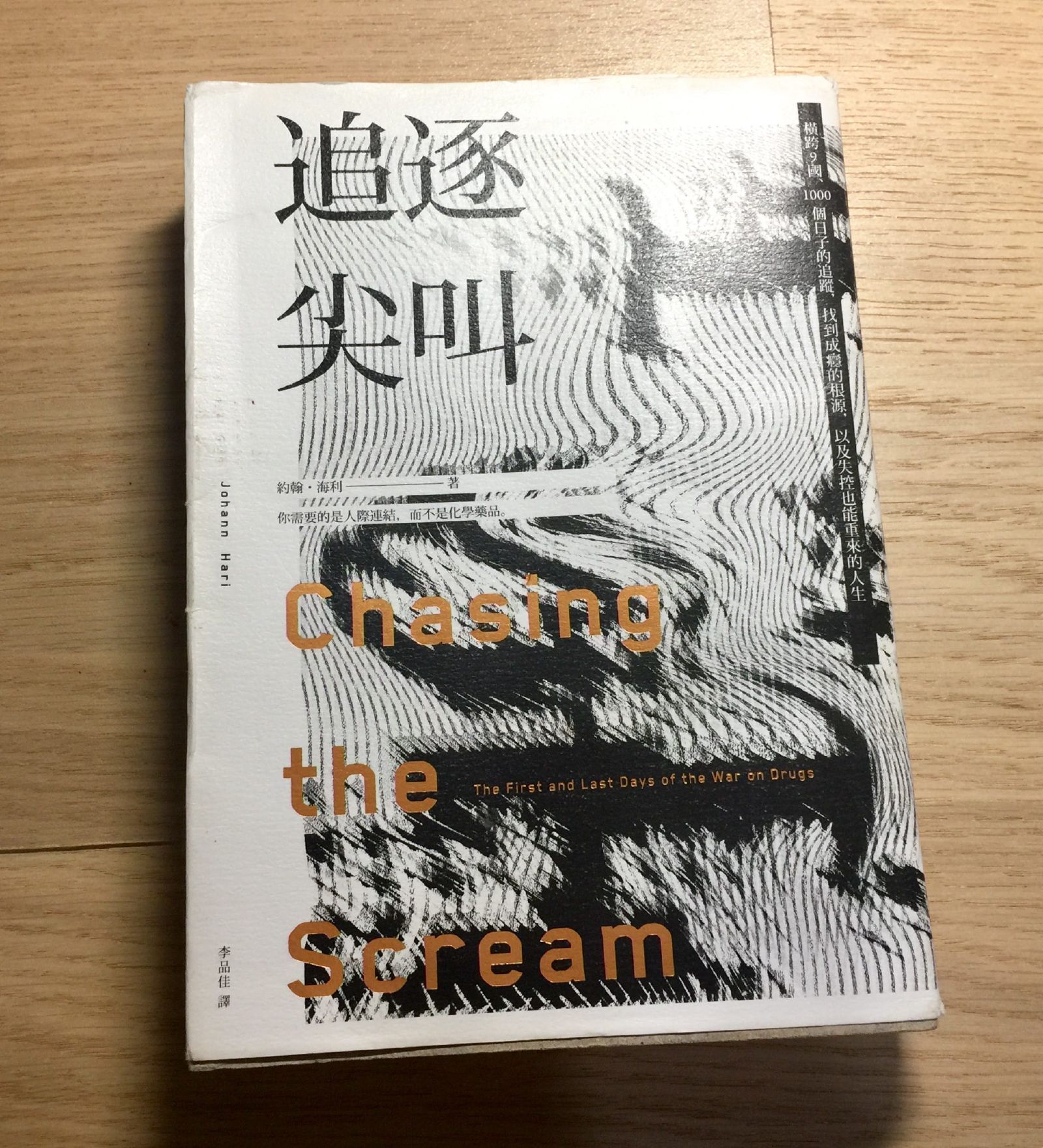 閱讀心得｜《追逐尖叫》：如果有人愛你，你就有了機會