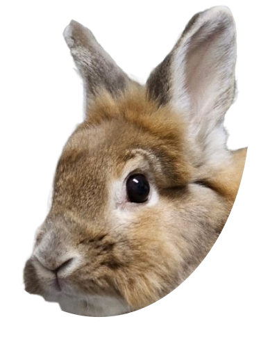 書摘｜《修身與齊家》